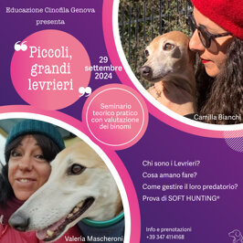 8b22d85f-57e8-4f4c-bca3-76051b9bb854