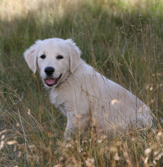 3413bc7a-4c83-4999-bfce-0b99b2823841