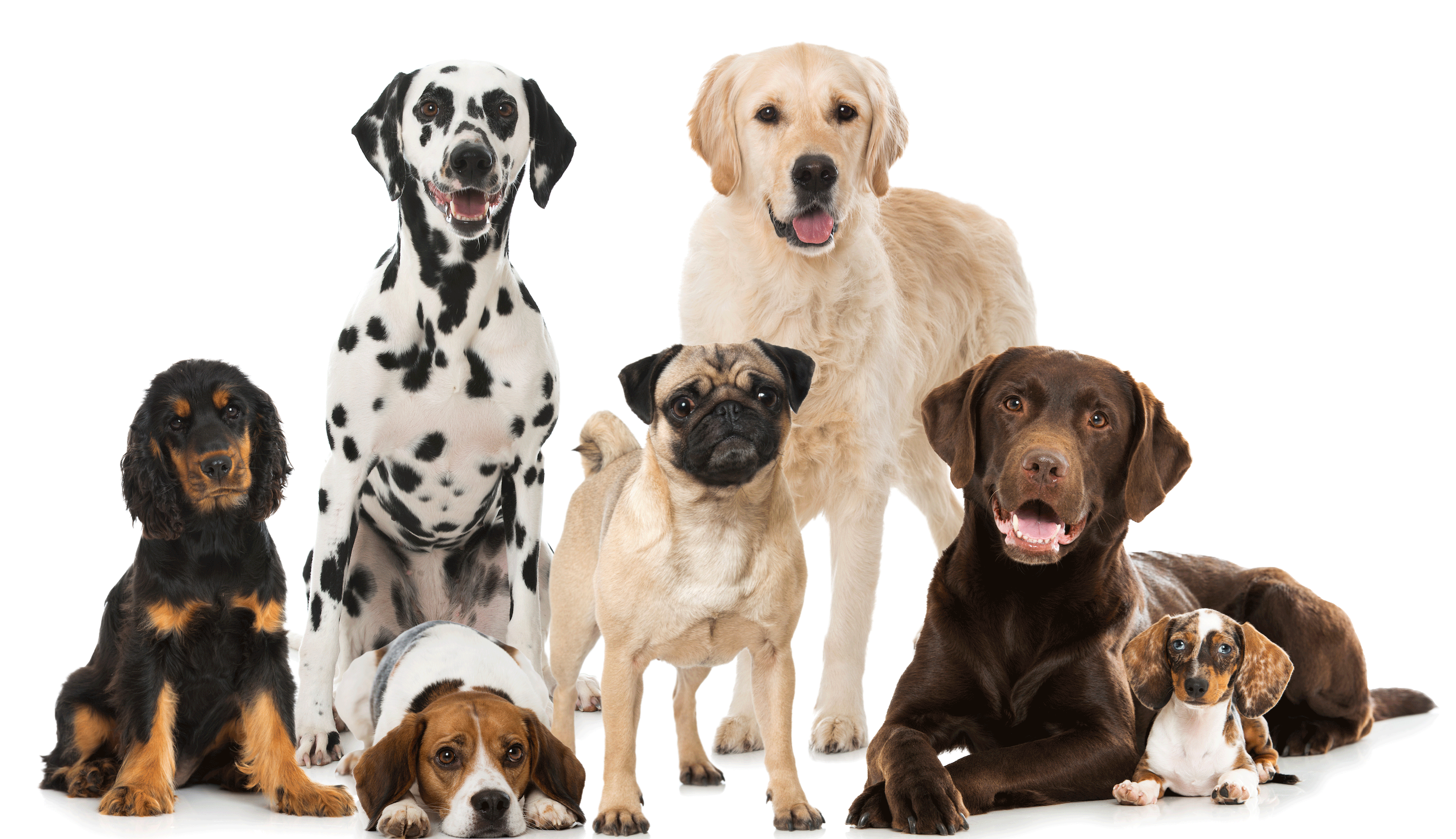 9a3ab392-c91d-41fd-be92-6d95223877b4