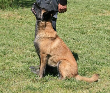 be023a25-218a-40bb-b654-6981faf326f2