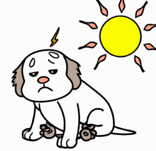 7735d6ec-7c4d-4134-8c7e-1f6fb99d6bd6