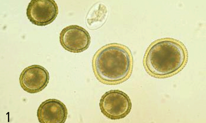 74343f2c-4dd4-4e8c-be98-c409882e8c25