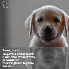 158b4409-a14e-4c49-b3c3-e07feaf92349