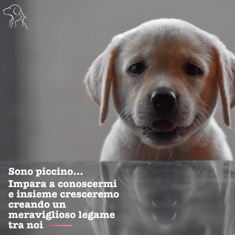 158b4409-a14e-4c49-b3c3-e07feaf92349