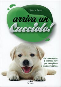 1951a858-a7ad-489f-997a-6e03b6ff01e4