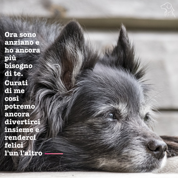 14d2e476-1eb7-49f0-9845-a54c40d3a303