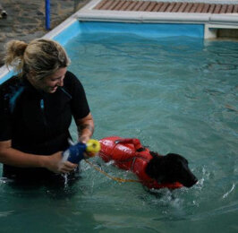 483c8030-0cac-4de0-be37-3ad9003d01c4