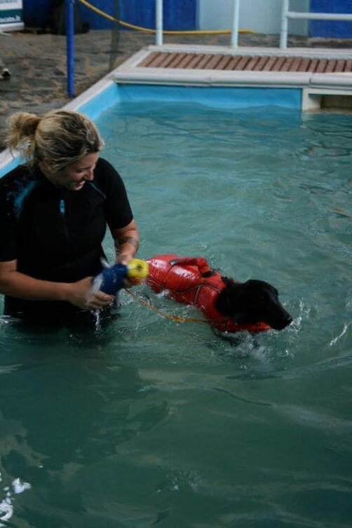 251647f9-6cf4-47fc-b422-0ee47d6ff6f7