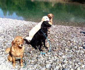 2801a7fe-fd19-45d8-8448-c78b39f797bb 2801a7fe-fd19-45d8-8448-c78b39f797bb