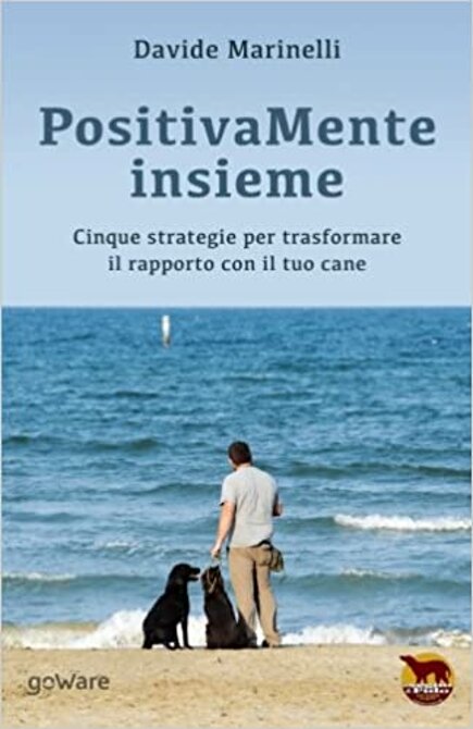 0b8014c8-7d91-4502-9172-581499ac8ba1