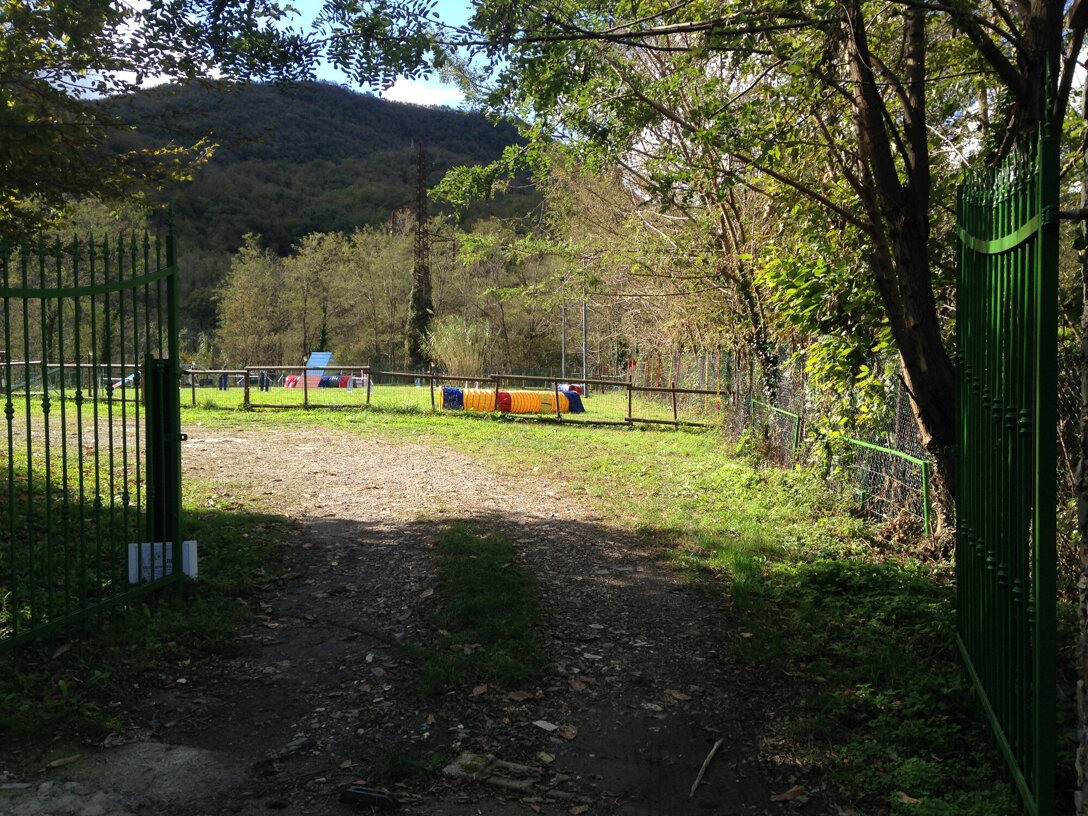 campo-1.jpeg