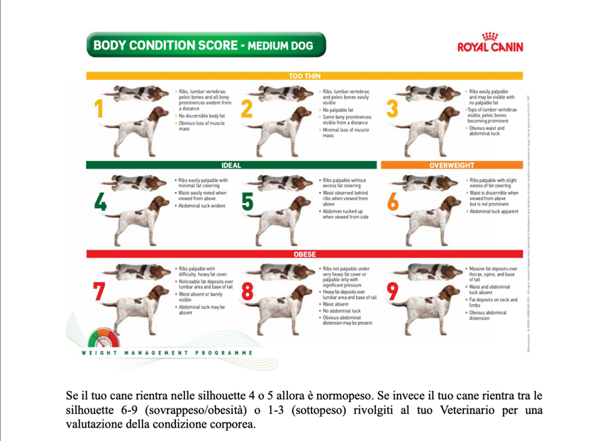 97323dbe-c695-442e-9bc1-e2e08a05b397