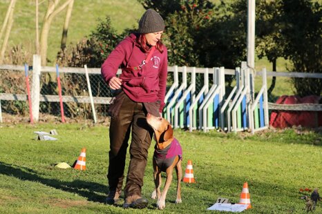 97145ece-539e-49ce-9268-60a55cefe303 97145ece-539e-49ce-9268-60a55cefe303