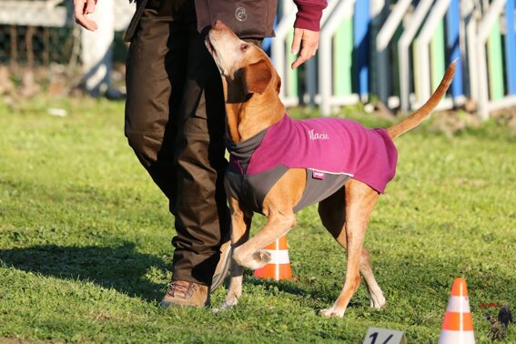 c32952d9-58df-419c-95b4-85e6339df84d c32952d9-58df-419c-95b4-85e6339df84d