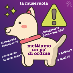 a92e290d-dd79-48ea-9b18-a6e4cc1bec67