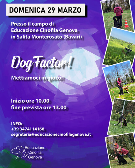 locandina factor nuova.jpeg locandina factor nuova.jpeg