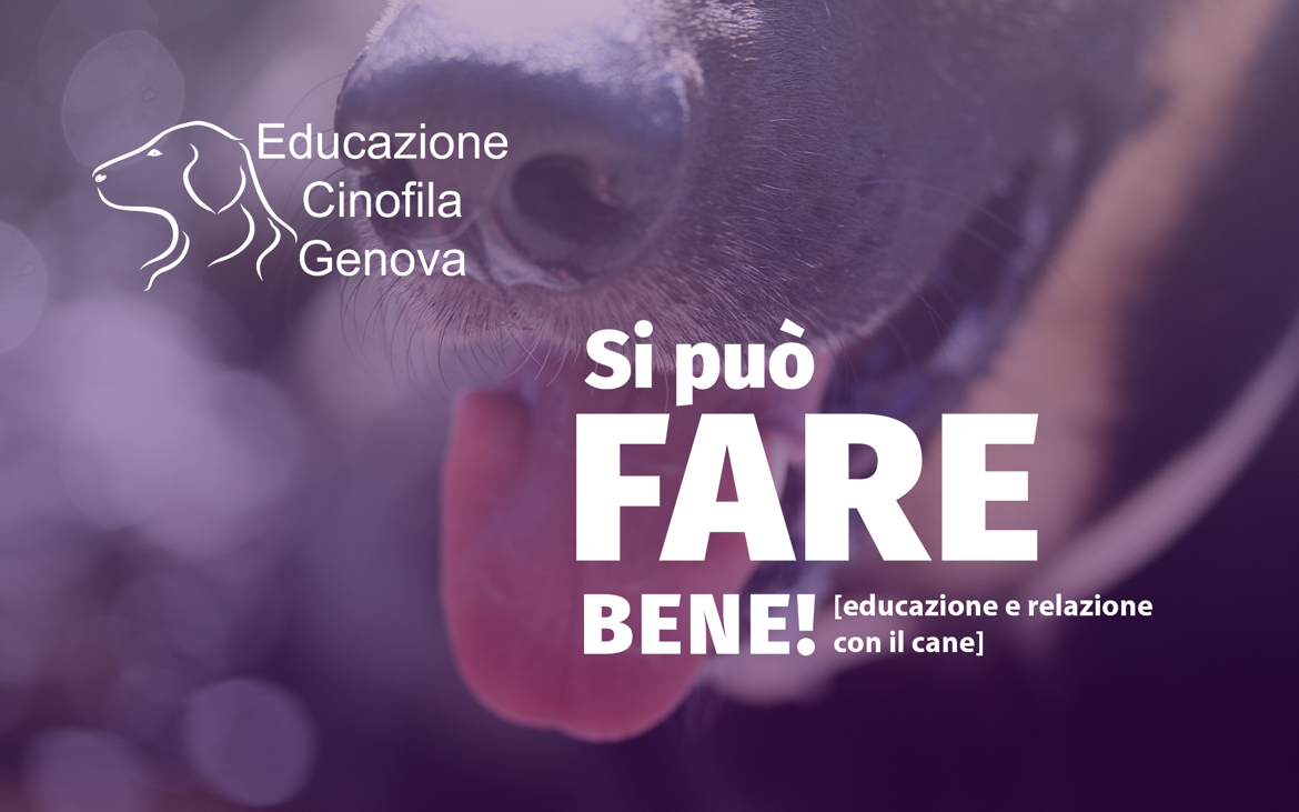 ff2100b6-985d-4400-8a34-8bf1e8698696