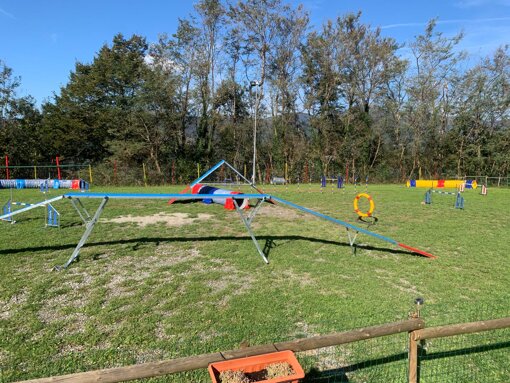 e938d9a2-d842-4051-9ab9-f3b27e9e1f14