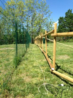 bb5bb6ab-6fde-42ef-aec5-6eb4cc9bff6d