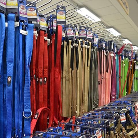 4474eb11-8203-4512-8f2e-b0cd478bc444