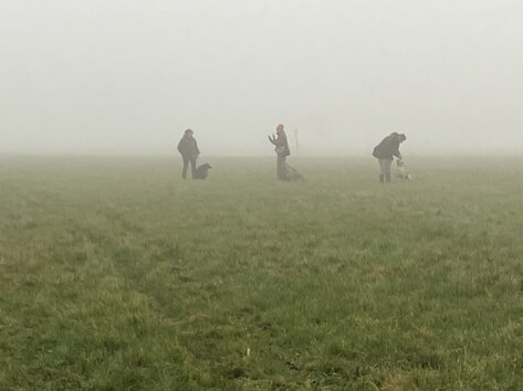 La nostra squadra in addestramento