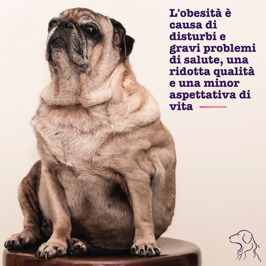 3a544165-cbc2-4c94-874d-fd65ef024426