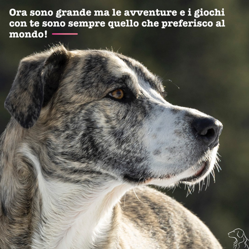 681be673-d9bc-4d29-baae-8d963db45886