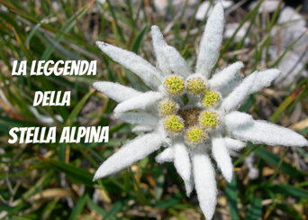 3fdea22a-a455-467d-ba1a-0013db85319c