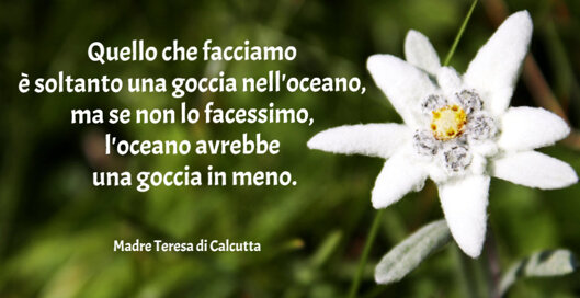 79f805b9-c842-41e8-ab3a-26e090550a4d