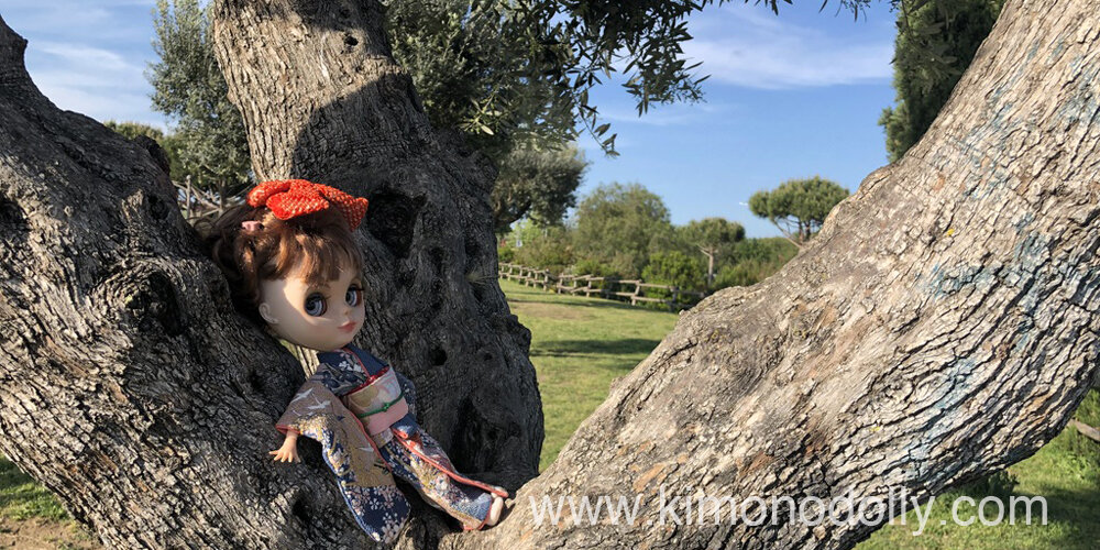 6ac89499-ba49-4f28-bc95-edadd1fa9217