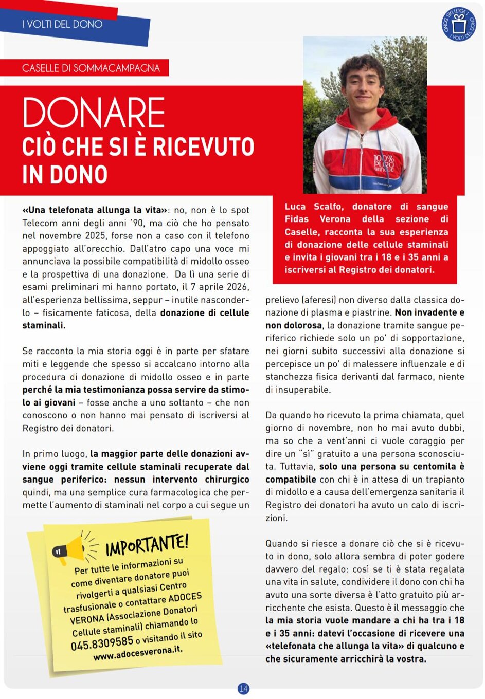 articolo luca.jpeg