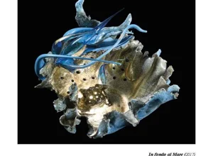 sculture-luminose_002.webp
