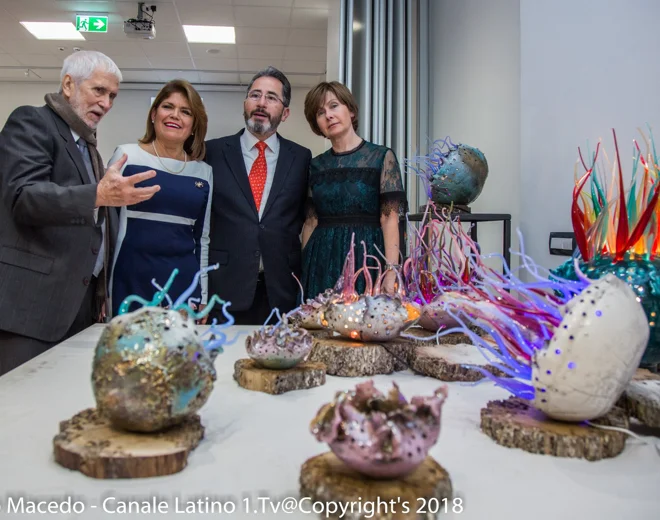 meduse%20on%20the%20rocksok.webp
