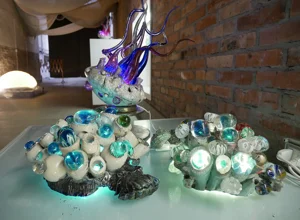 habitat%201200.webp