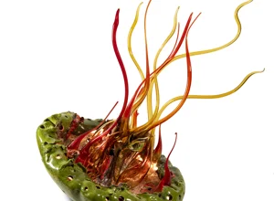 medusa%2038%20(diametro%2015).webp