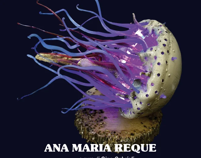 colors,%20habitat%20marino3.webp