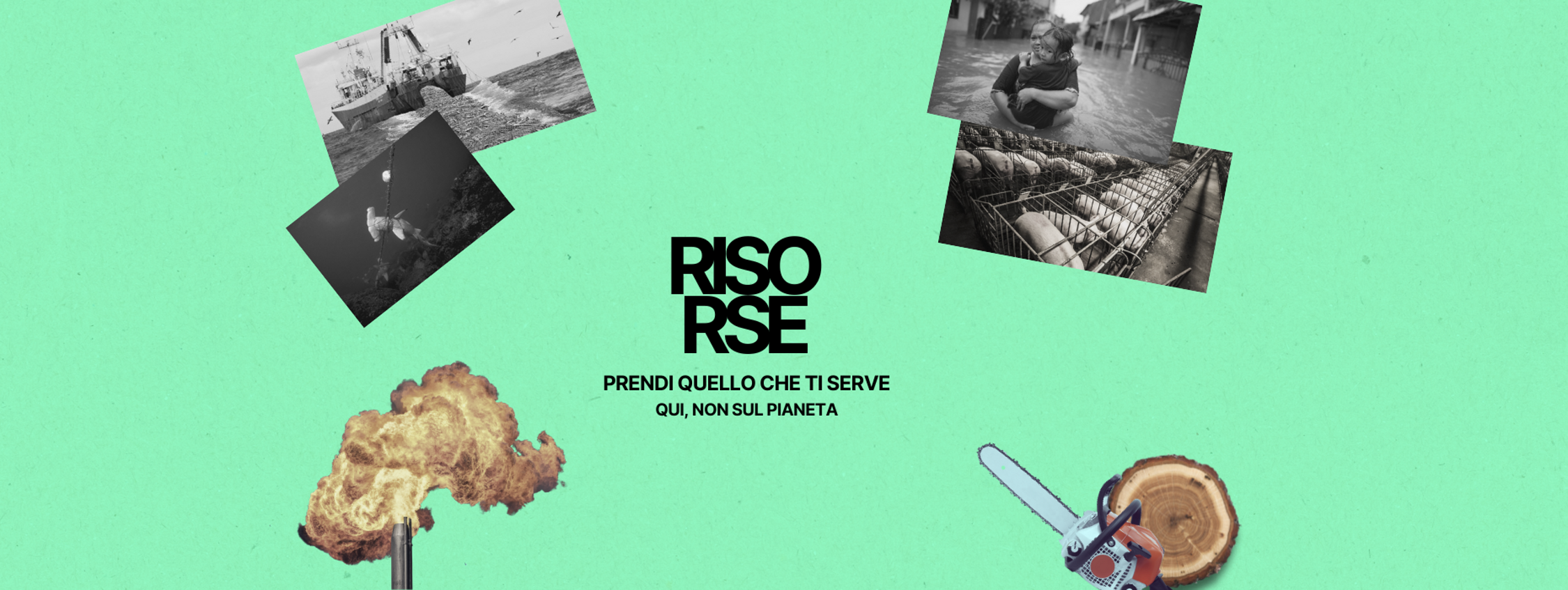fasce per sito