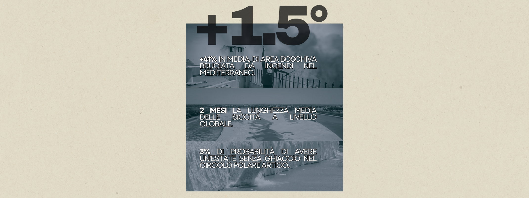 fasce per home (4)