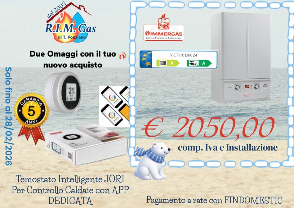 whatsapp image 2026-02-03 at 19.44.54 (1).jpeg