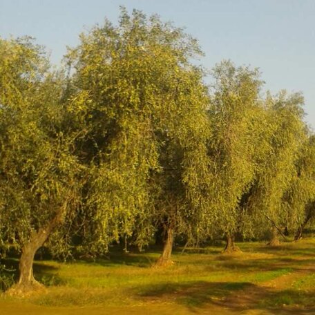 img-20160219-wa00071