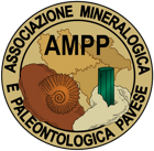 logocolori