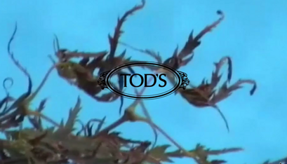 screenshot 2026-01-27 alle 15.43.13