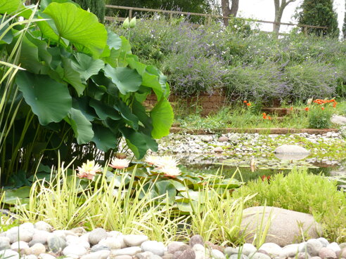 Descrizione immagine