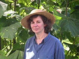 Descrizione immagine