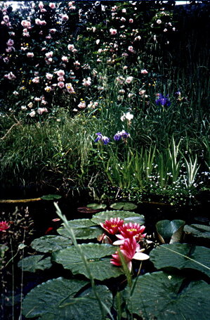 Descrizione immagine