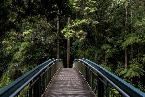 20f848d3-e405-429a-9c15-08ae32c2388d 20f848d3-e405-429a-9c15-08ae32c2388d