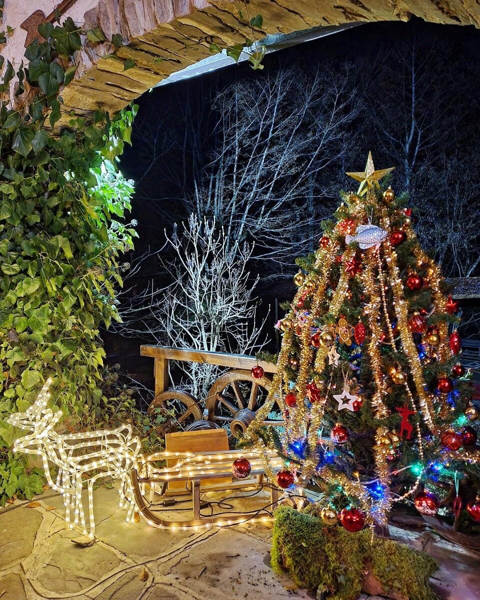 8d19b20f-e0dd-482e-886a-85ec5e45bedb