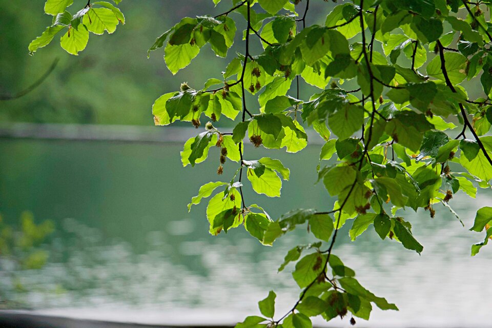 e116cc3b-d2a9-4557-a24f-6b4f8fe4ee2e