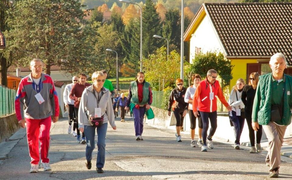 d0482f97fe694b4480c2614b3f705597