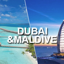 4c168d07-1f50-4a58-ab39-5d3e80a3ccb3